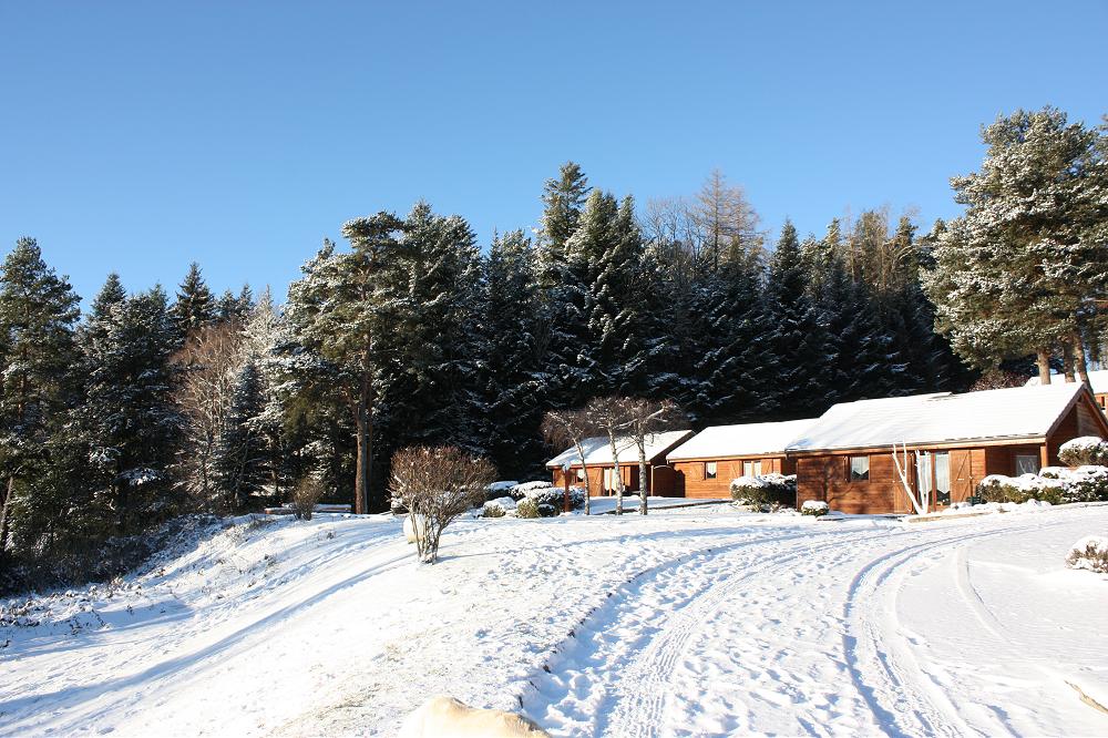chalet chalets vacances d'hiver puy de Dôme 5m